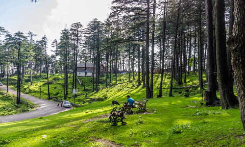 Day 3: Katra - Patnitop 