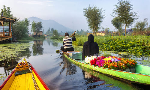 Day 1: Arrival in Srinagar 