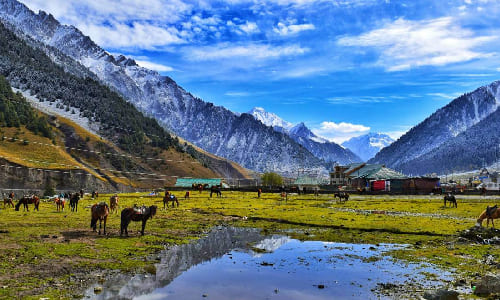 Day 4:In Pahalgam  