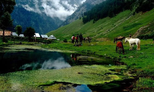 Day 2: Excursion in Sonamarg  