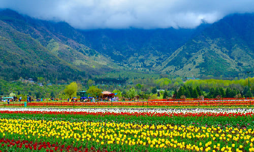 Day 3: Sightseeing in Srinagar 