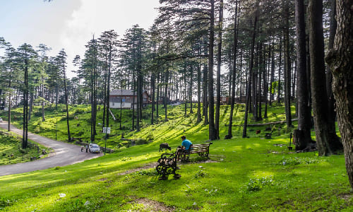 Day 7: Pahalgam-Patnitop  